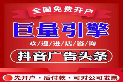 竞价广告策略案例分析
